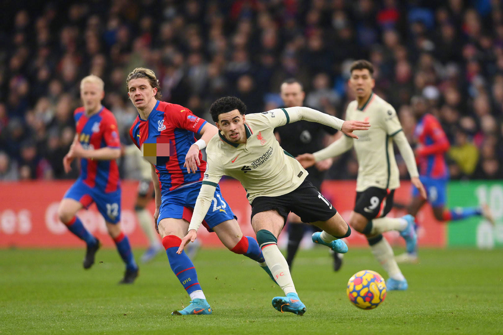 朱松玮的出 朱松玮的出